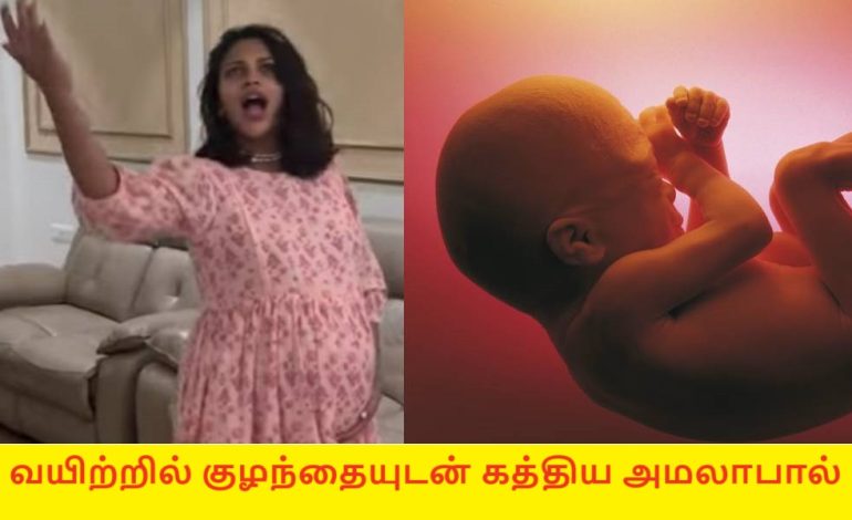 வயிற்றில் குழந்தையுடன் கத்திய அமலாபால்… இது தேவையா?