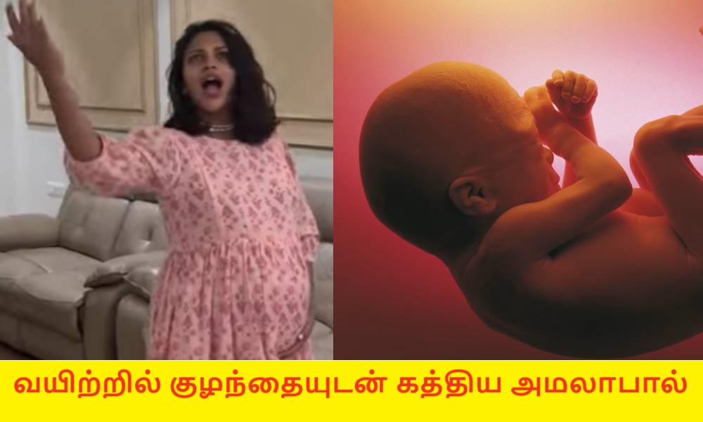 வயிற்றில் குழந்தையுடன் கத்திய அமலாபால்… இது தேவையா?