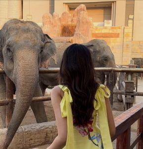 #KrithiShetty #AbuDhabi #TravelDiary #KrithiShettyOfficial #ArtAndCulture #TravelGoals #TollywoodActress #ViralClicks #AbuDhabiDiaries